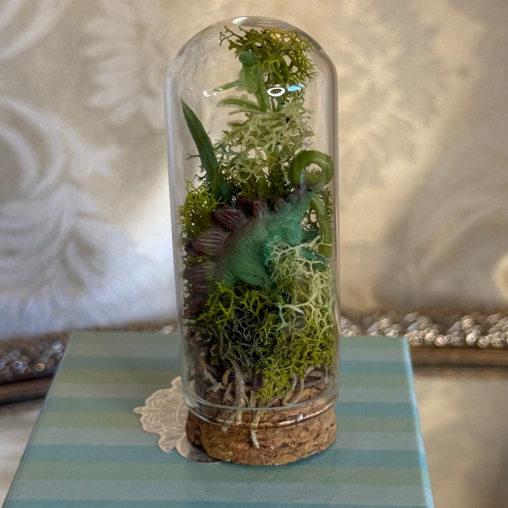 Mini Dinosaur Terrarium Glass Cloche Moss Diorama Stegosaurus
